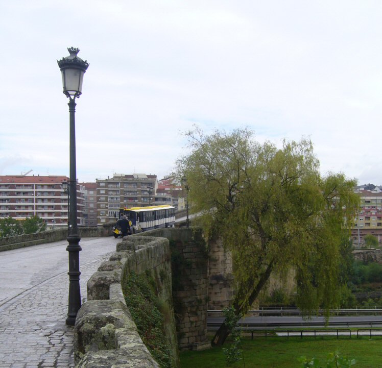 Sauce chor�n. Ponte vella de Ourense. R�o Mi�o.
