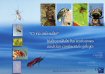 O r�o animado, biodiversidade dos ecosistemas acu�ticos continentais galegos. F. Cobo e outros.