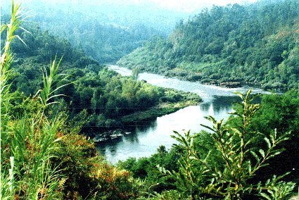 Río Miño por debaixo de Frieira. Fotografía do autor da web.