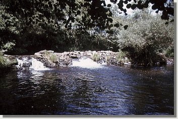 O r�o Arnoia en Pontegrande. Moitas troitas me deu esta postura...