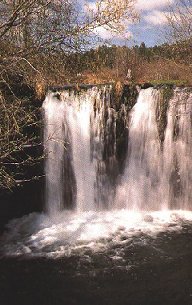 R�o Arnoia. Ourense.