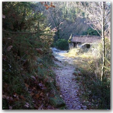 Un dos moitos muíños de Vilamea. Por certo marabillosos. Lobios. Ourense.