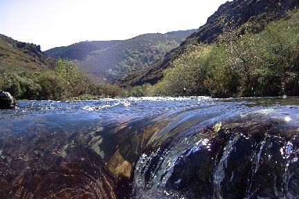 Ro Navea. Chandrexa de Queixa. Ourense. Fotografa Secundino Lorenzo