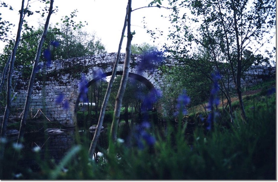 Puente Mandr�s sobre el r�o Barbanti�o. Mandr�s. Amoeiro.