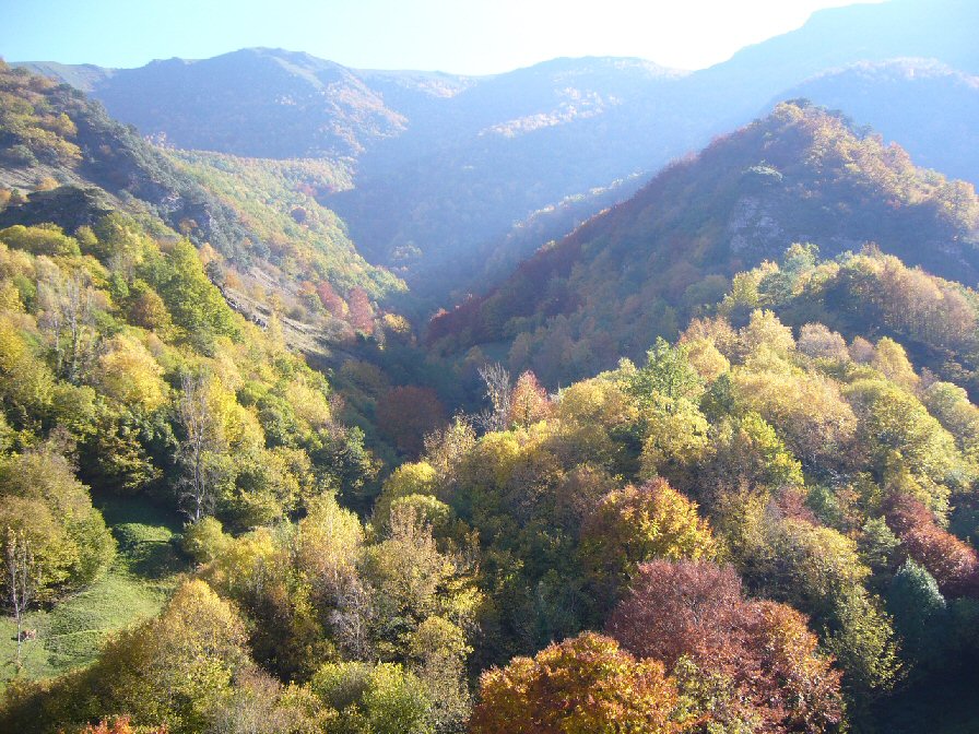 Devesa da Rogueira. O Courel (Lugo). Aqu vese de todo, bidueiros, amieiros, pradairos, avelairas,...ata faias.