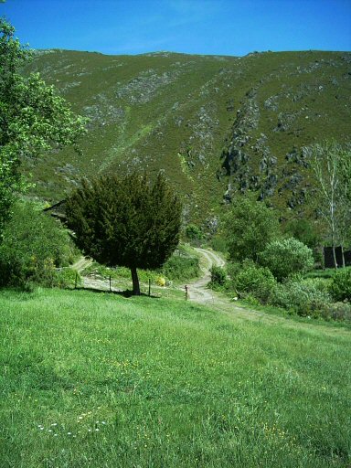 Texo. A Ferrera. Chandrexa.