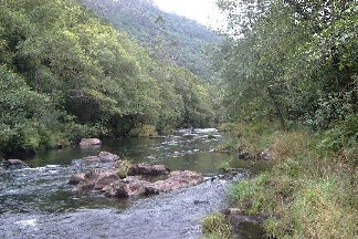 Fragas do río Eume. Fotografía do autor da web 2002.