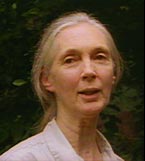 Jane Goodal, autora do libro Gracias a la vida. Unha gran muller.