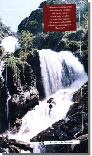 Fotografa sacada do sensacional libro "Guia das Fervenzas da Corua" de  Ramn Muiz.