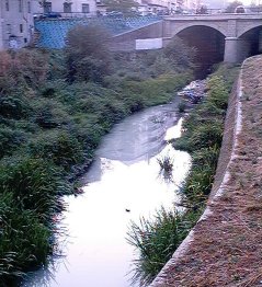 Malditos os que podendo botar as augas fecais a traida, fanno o río. Río Barbaña. Ourense.