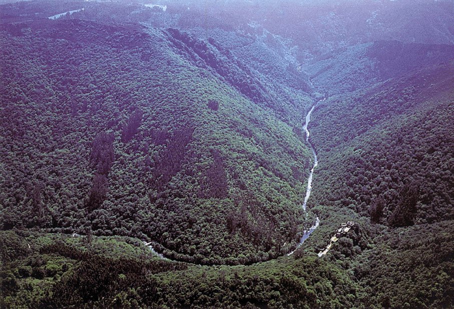 Fraga do r�o Eume. Fotograf�a de Xurxo Lobato.