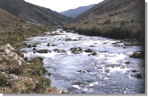 O río Navea , un río troiteiro por excelencia en Ourense.
