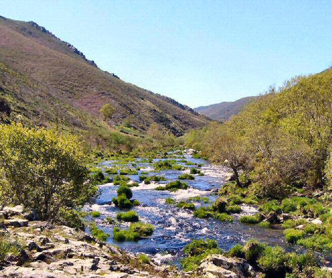 Ro Navea. Chandrexa de Queixa. Ourense. Por riba das Taboazas. Cantas troitias me deu!. Gracias...