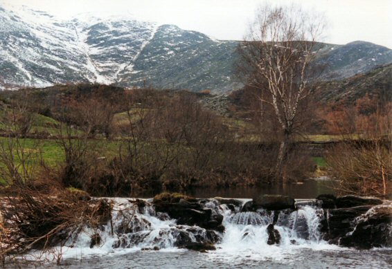 Fotografa dun ro en Chandrexa de Queixa. Ourense.