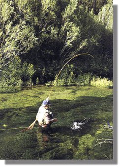 Luis Quesada. Libro  Se estn cebando !. Hai que ter moi boas cualidades fsicas e tcnicas para pescar troitas.