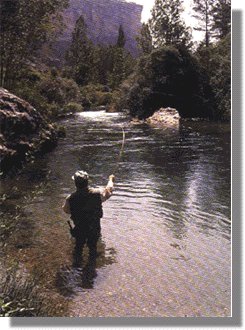 O pescador debe ser un amante da natureza. Libro de Luis Quesada.