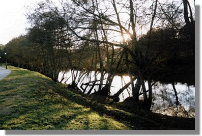 A pesca da troita leva os pescadores a lugares marabillosos. Ro Arenteiro -Carballio-Ourense