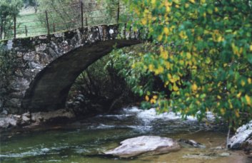 Ponte no río Pedro. Fotografía do autor da web.