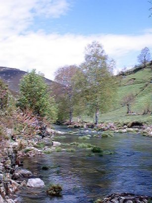 O río Navea preto de Taboazas. Chandrexa de Queixa. Fotografía do autor da web.