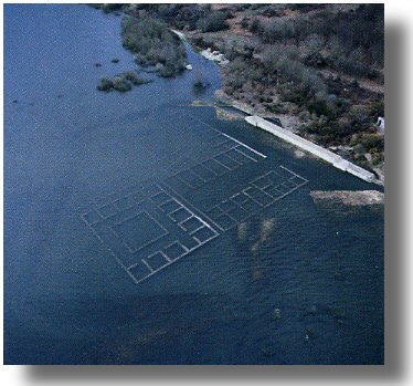 "Aquae Quarquerni" no inverno, cuberta polo encoro das Conchas. Foi declarada Monumento histrico-artstico no ano 1981. Fonte libro "Val do Lima", un ro dos paises.