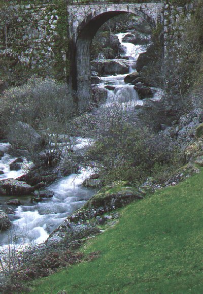 O regato non é o de Cepelo de Manuel María, pero no seu nacemento podía selo. Río Mao en Ourense, preto da desembocadura no río Sil. Fotografía do libro Ourense Natural.