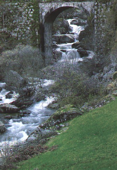 O regato non é o de Cepelo de Manuel María, pero no seu nacemento podía selo. Río Mao en Ourense, preto da desembocadura no río Sil. Fotografía do libro Ourense Natural.