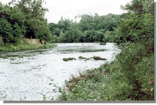 Ro Ulla en Couso. O gran Ulla, un marabilloso ro galego. (Comentarios as fotos, Secundino Lorenzo)