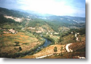 O río Limia por debaixo de Aceredo. O mellor río da provincia de Ourense, hoxe  debaixo dun encoro. Lamentable.(Comentarios as fotos, Secundino Lorenzo)