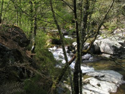 Fotografía do autor da web. Río Cerves.