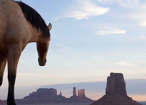 Fotografía de Tim Flack. Gran Cañón.