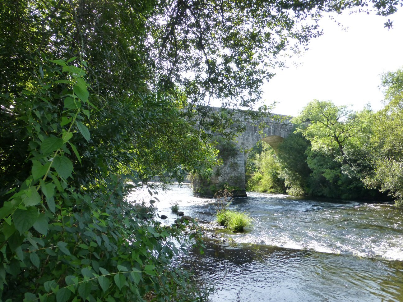 ponte_ledesmaro_arriba.jpg