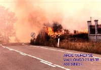 Arde Ourense e arde Galicia. 1998. A este paso adeus montes e bosques.